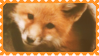 fox 3